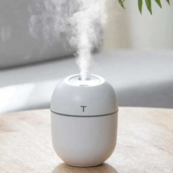 Air Humidifier | Best Mini Humidifier Price in Pakistan | Buyncart Online Store in Pakistan - Buyncart